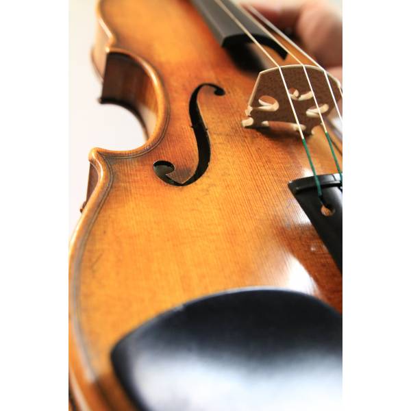 David Gamnitzer Master Violin